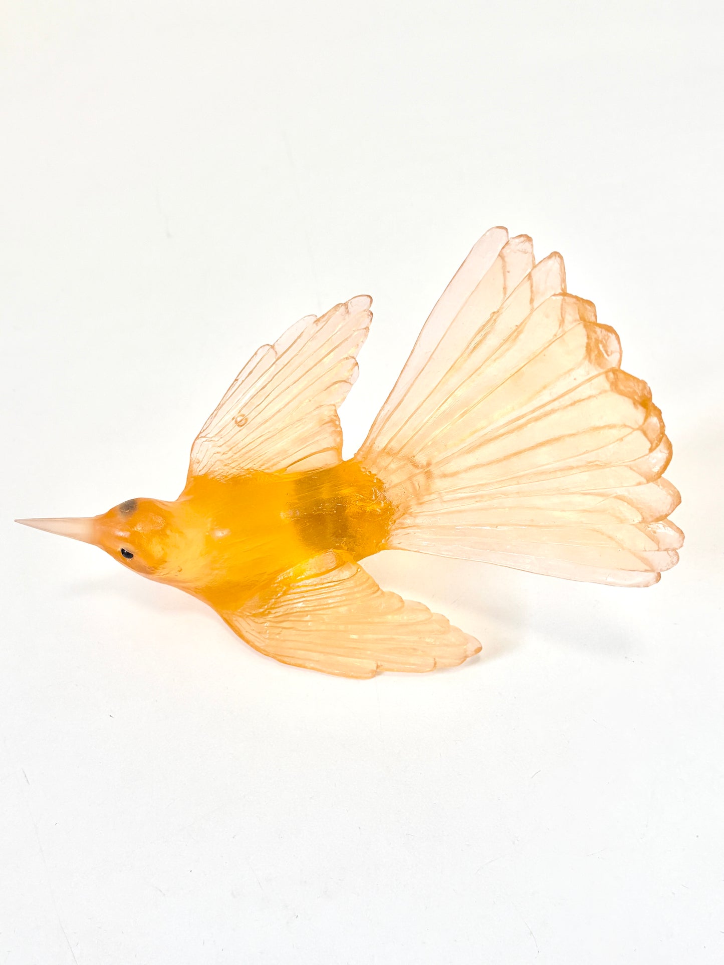 Fantail / Pīwakawaka - Apricot