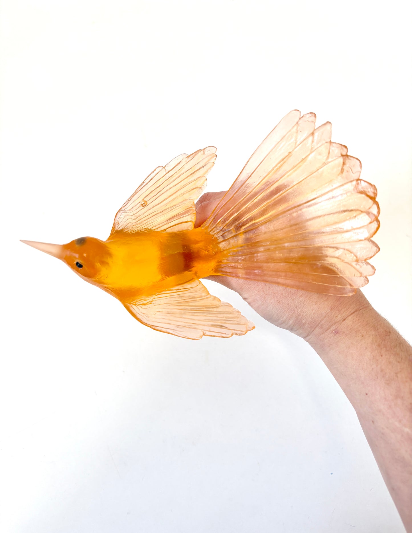 Fantail / Pīwakawaka - Apricot