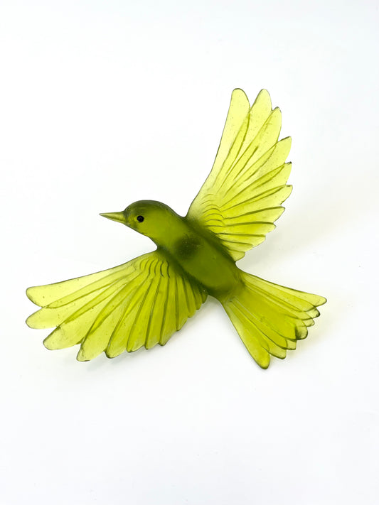 Yellowhead / Mōhua - Olive