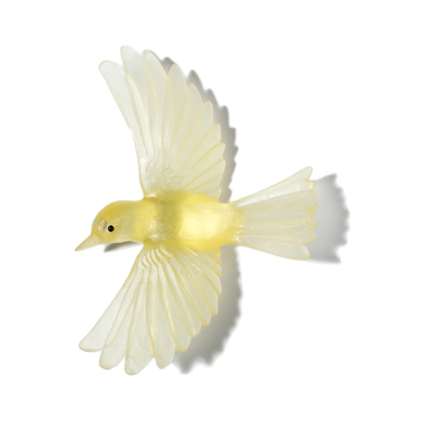 Yellowhead / Mōhua - Citrine