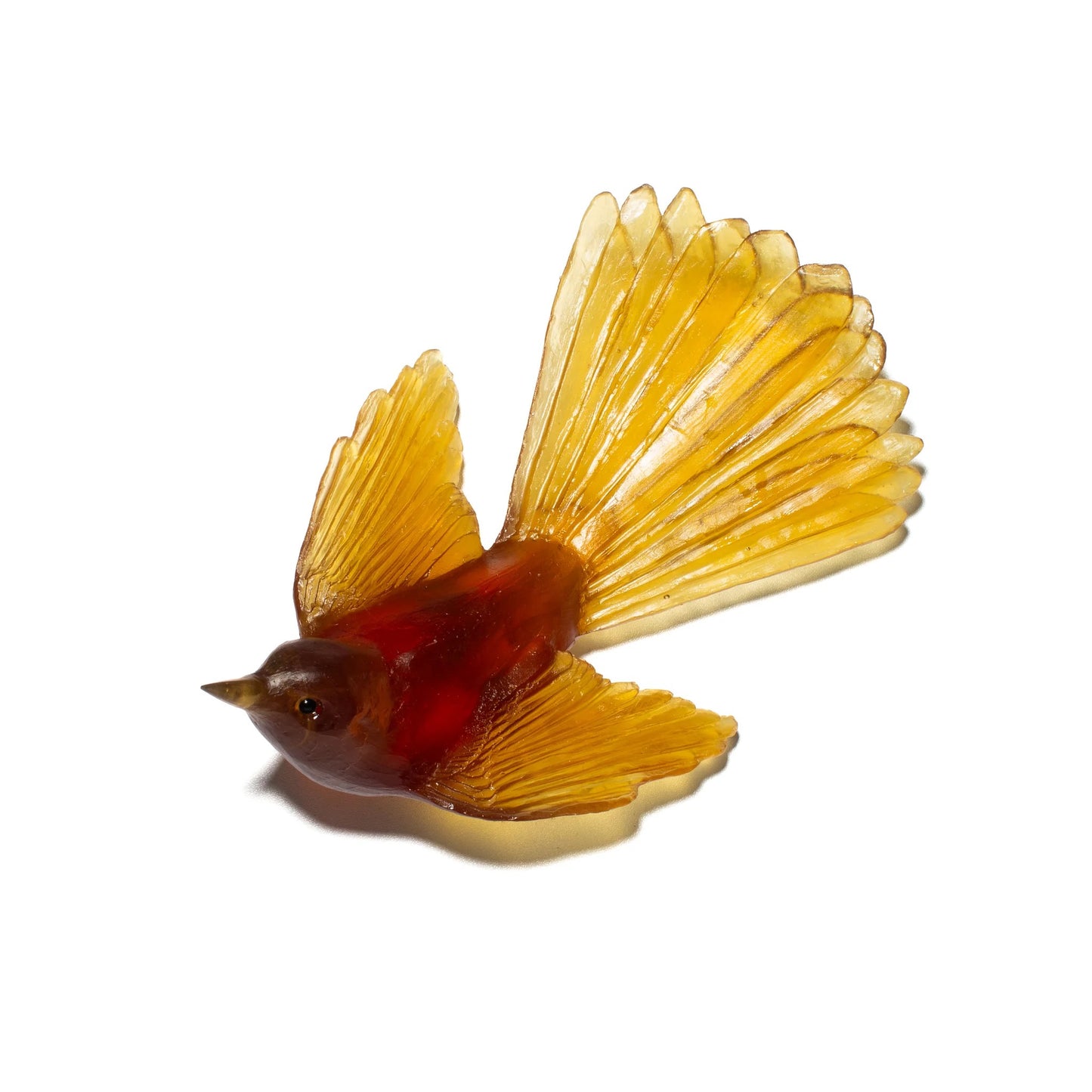Fantail / Pīwakawaka - Kelp