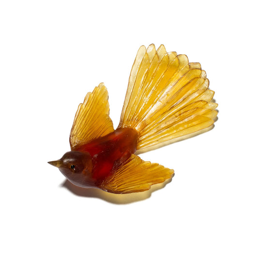 Fantail / Pīwakawaka - Kelp