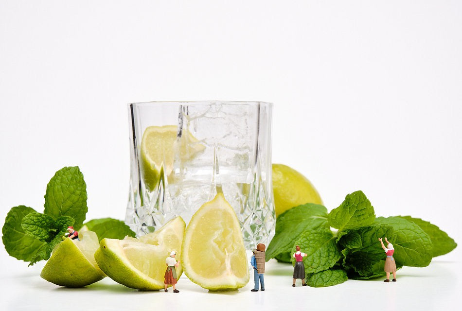 "The Mojito Collective" Print
