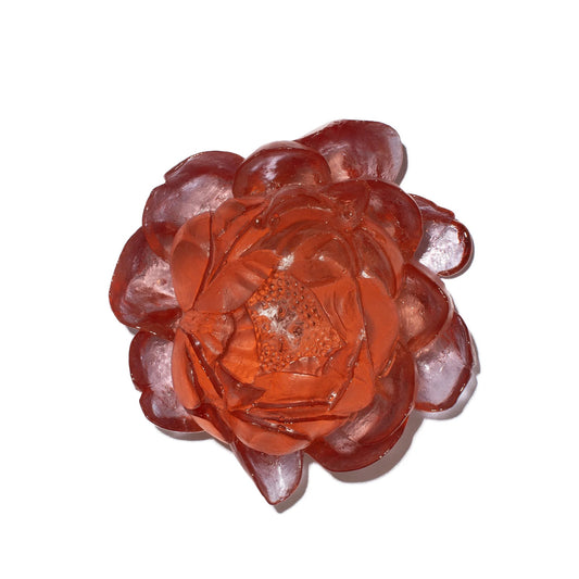 Peony - Rose - Glass wall artwork by Luke Jacomb
