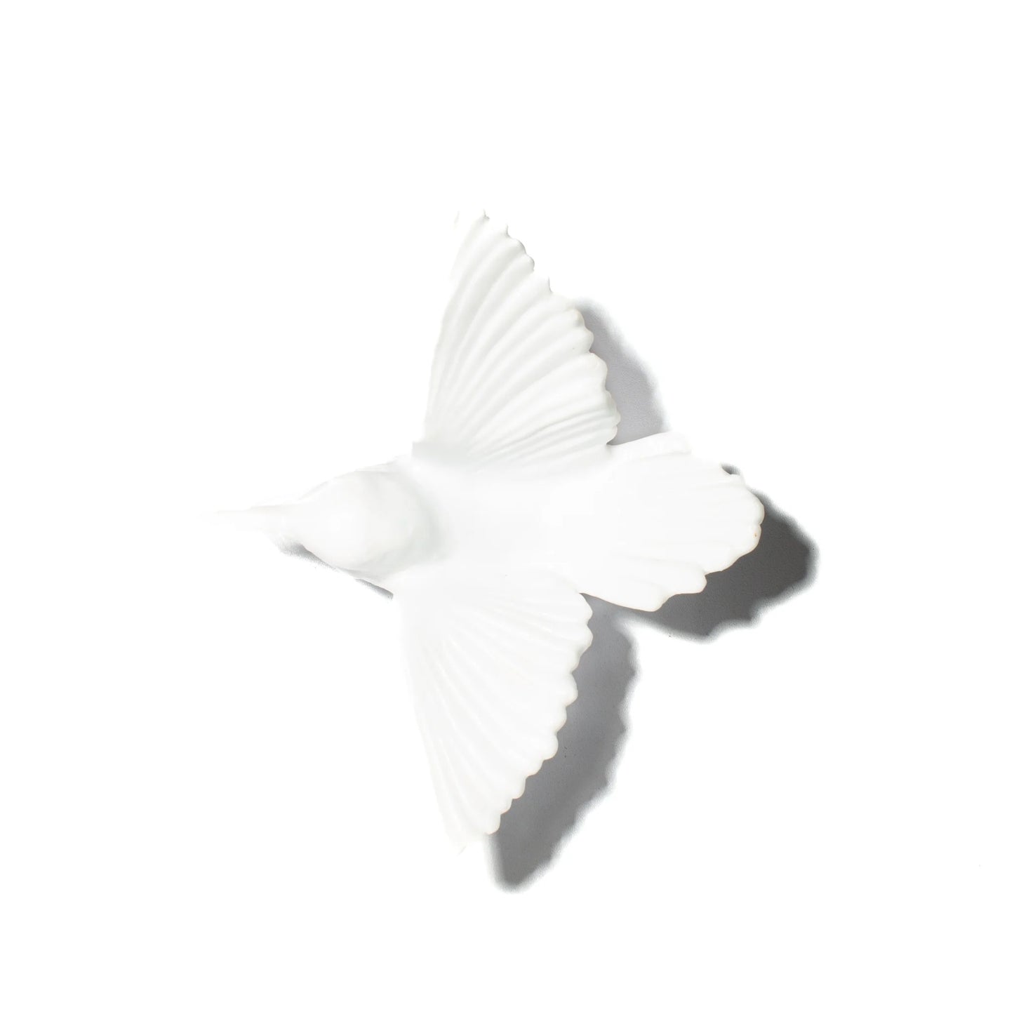 Tomtit / Kōmiromiro - Opaline - by Luke Jacomb Studio