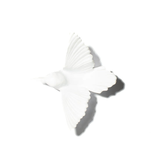 Tomtit / Kōmiromiro - Opaline - by Luke Jacomb Studio