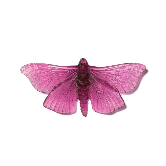 Gold Amethyst Large Glass Moth / Pūriri Artwork - Classic - by Luke Jacomb