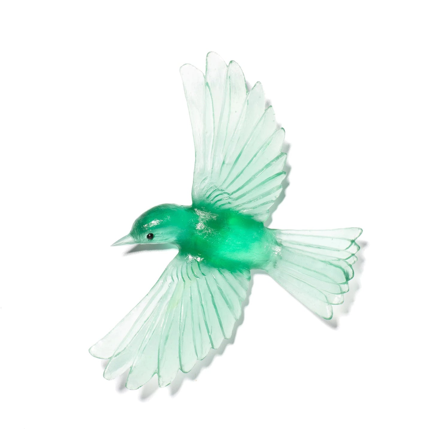 Yellowhead / Mōhua - Tourmaline