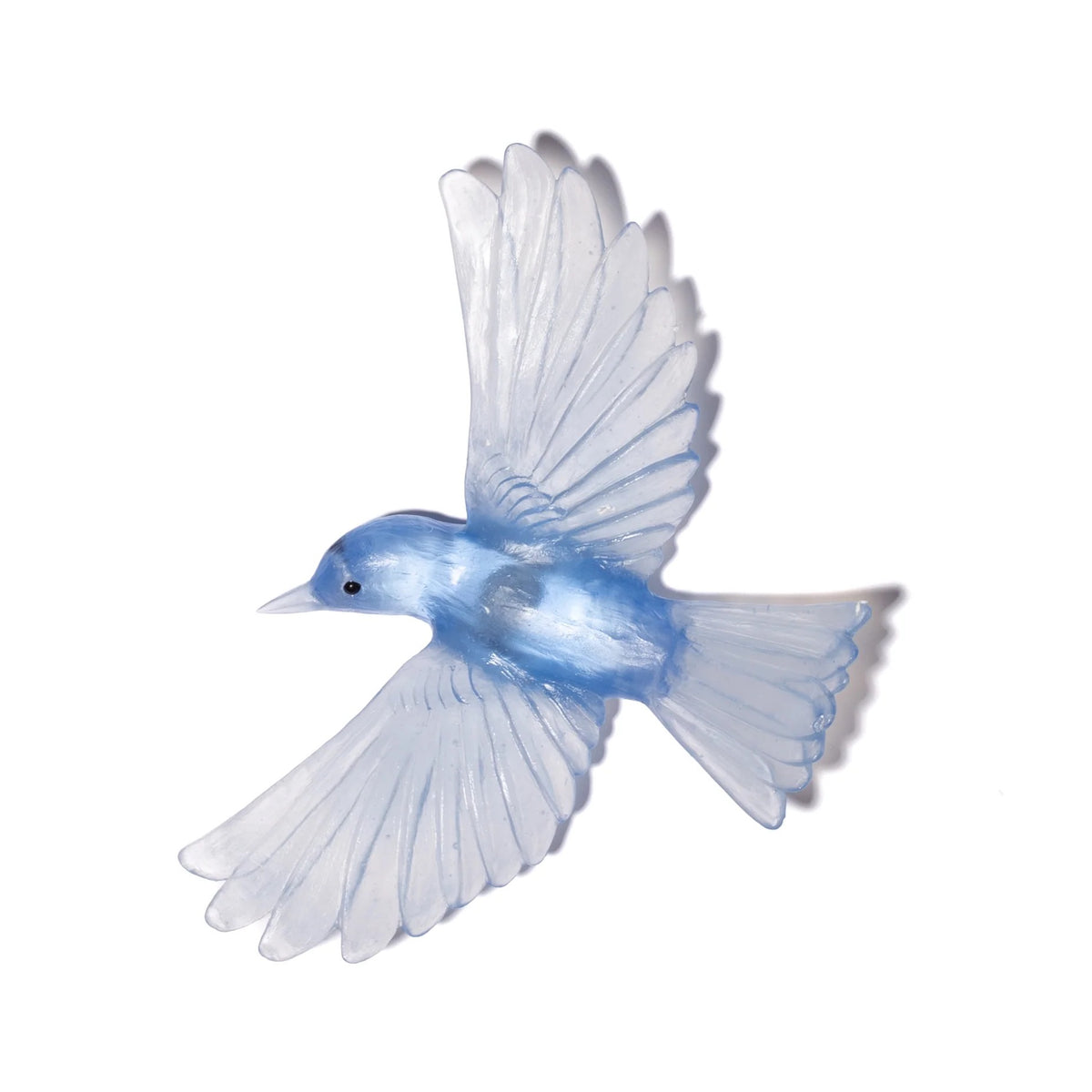 Yellowhead / Mōhua - Pale Cobalt Blue