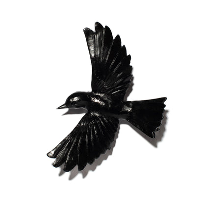 Yellowhead / Mōhua - Solid Black