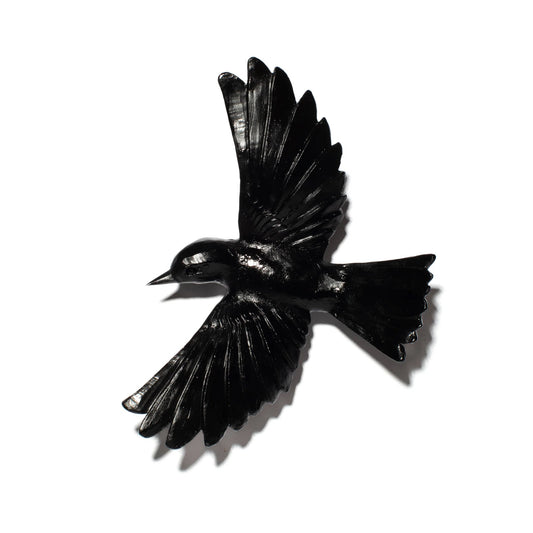 Yellowhead / Mōhua - Solid Black