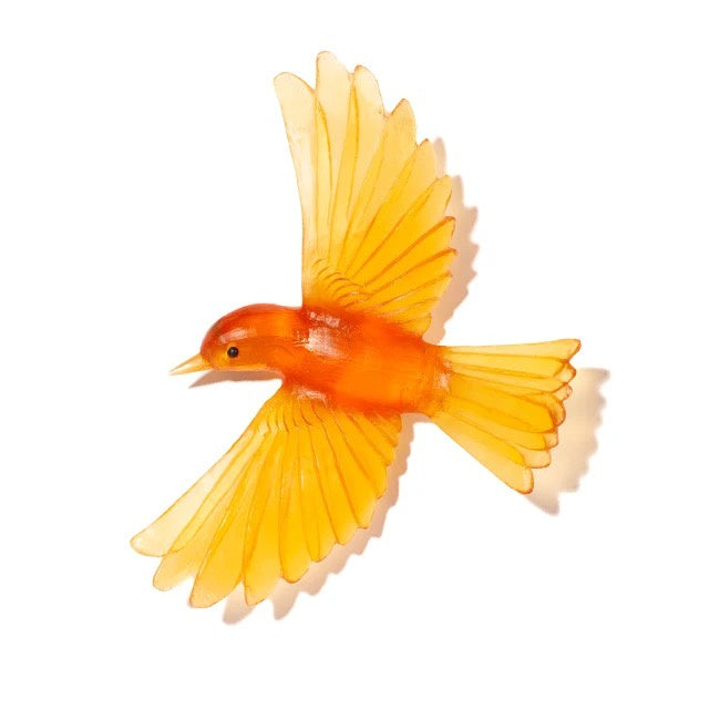 Yellowhead / Mōhua - Orange