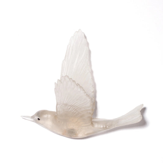 Shining Cuckoo / Pipiwharauroa - Pale Bronze