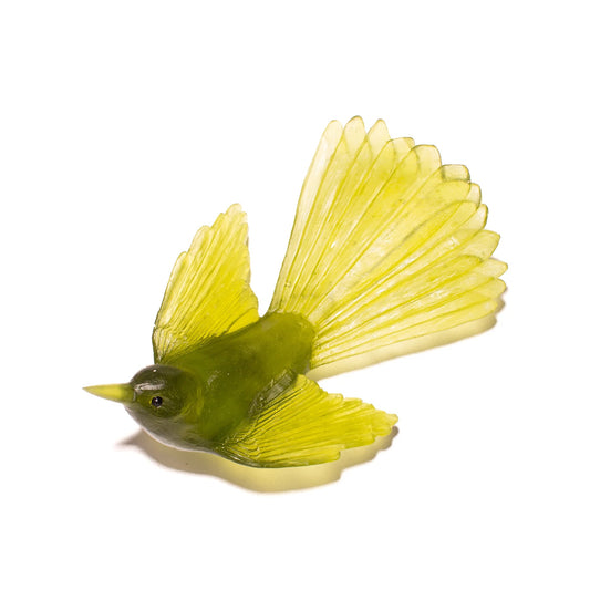 Fantail / Pīwakawaka - Olive
