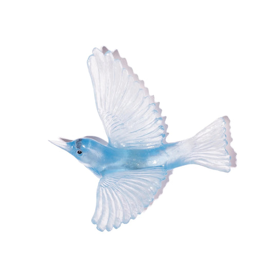 Silvereye / Tahou - Pale Aqua
