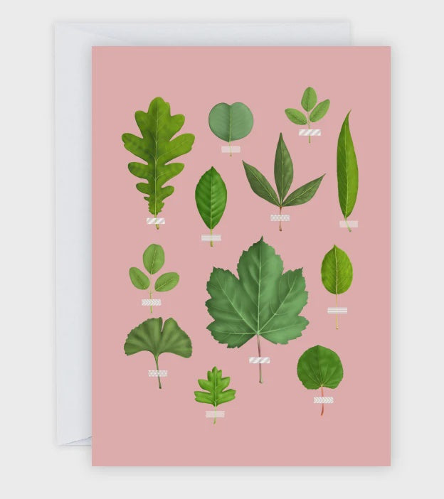 "Leaf Collection" Greeting Card