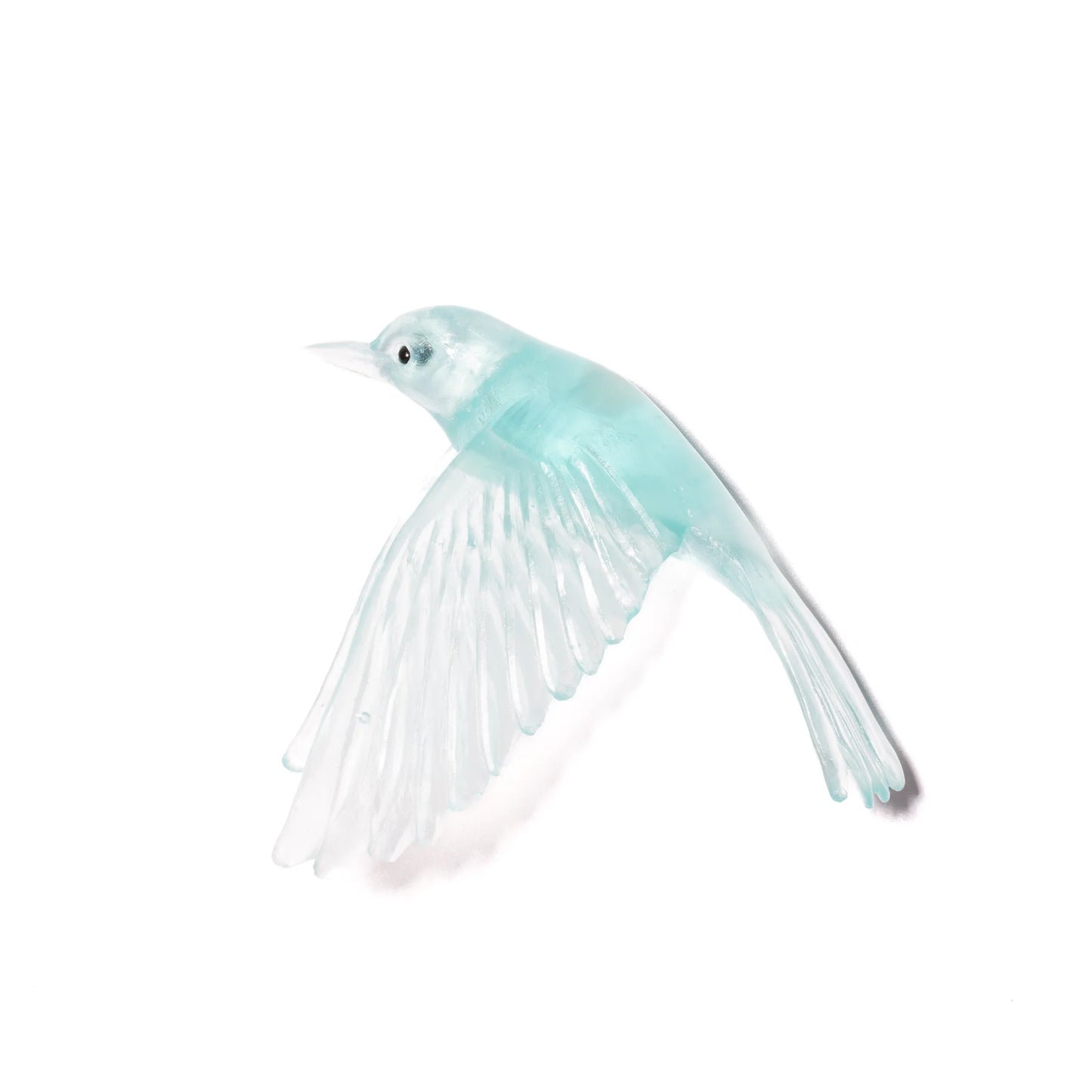 Pōpokotea / Whitehead - Limited Edition Lake Blue