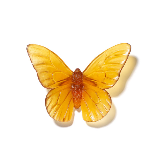 Kelp Glass Butterfly Artwork - Monarch by Luke Jacomb