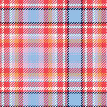 Medium Zip Tote Bag - Tartan