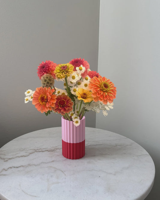 Mini Frankie Vase - Pink / Red