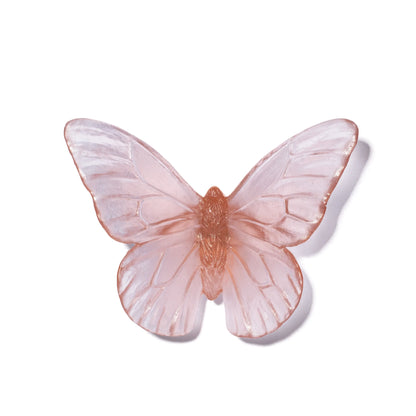 Rose Monarch Glass Butterfly Artwork - Classic Large - by Luke Jacomb