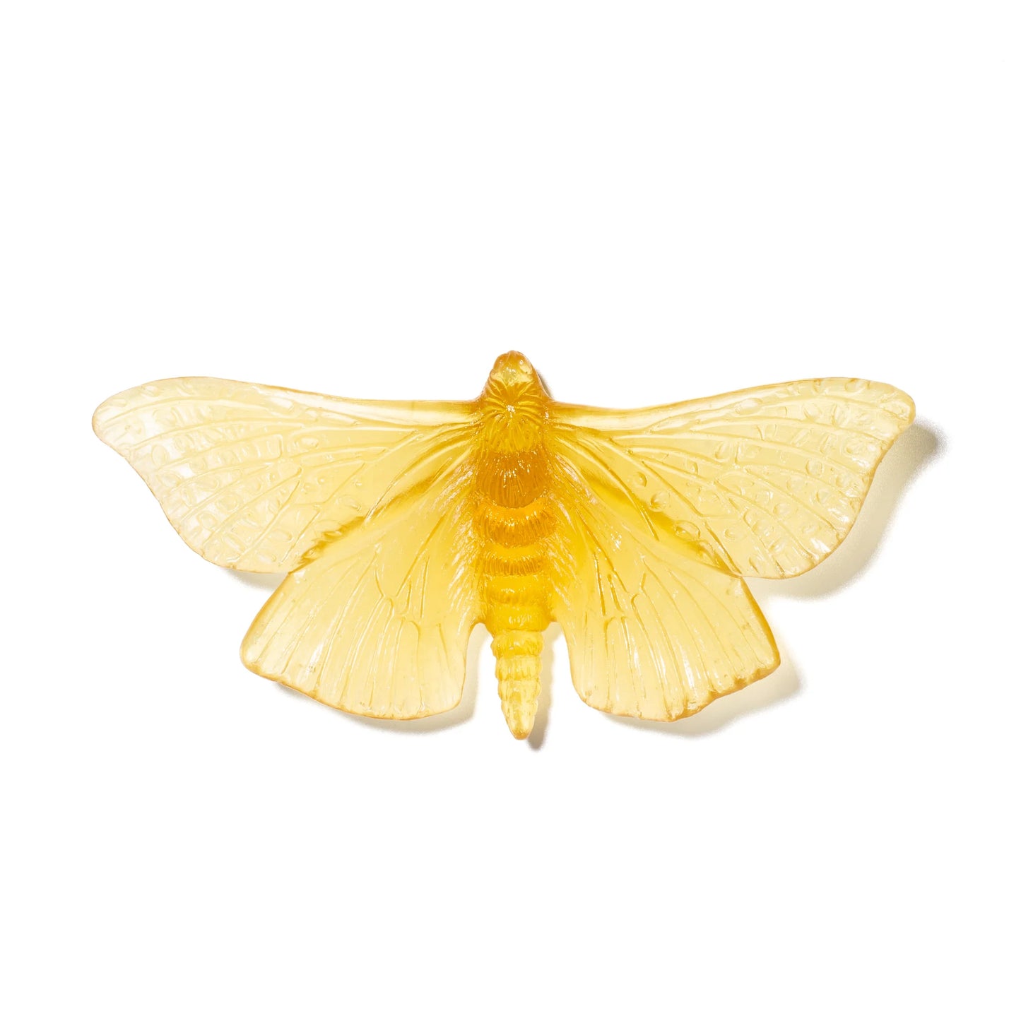 Chardonnay Glass Moth / Pūriri Artwork - Large - by Luke Jacomb