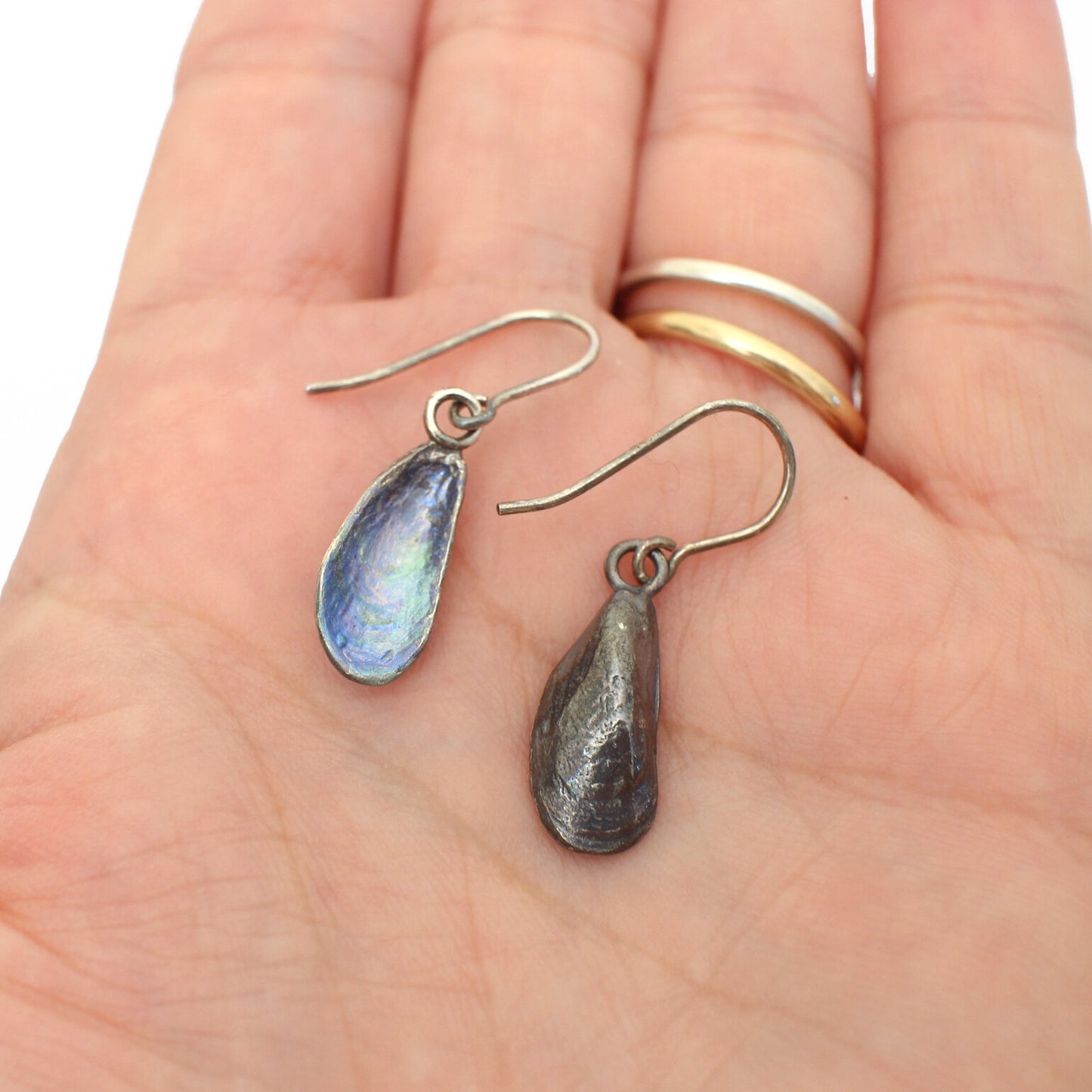 Mussel Shell Earrings