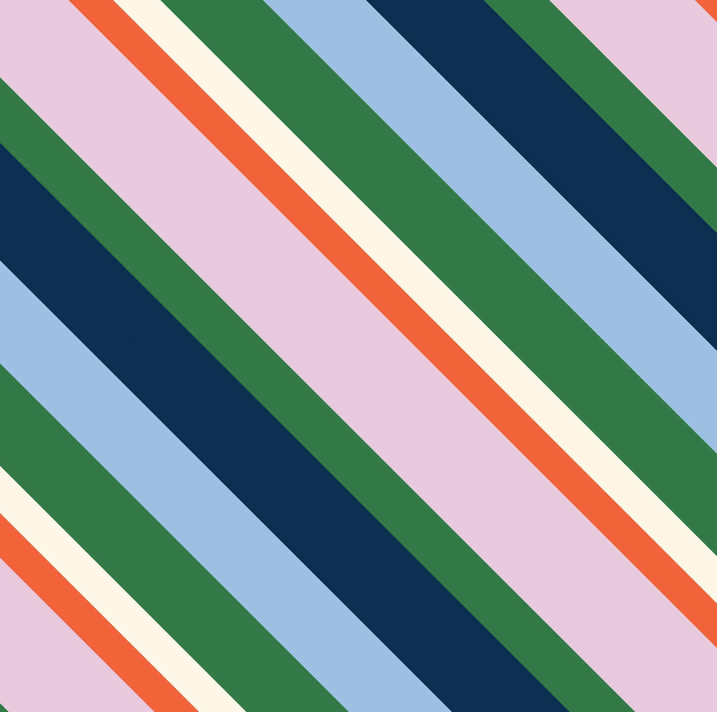 Pencil Case - Rugby Stripe