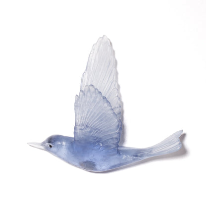 Shining Cuckoo / Pipiwharauroa - Denim - By Luke Jacomb