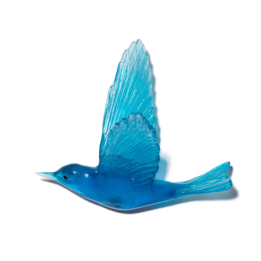 Shining Cuckoo / Pipiwharauroa - Copper Blue - By Luke Jacomb
