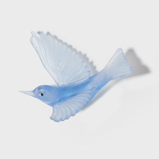 Silvereye / Tauhou - Pale Cobalt Blue