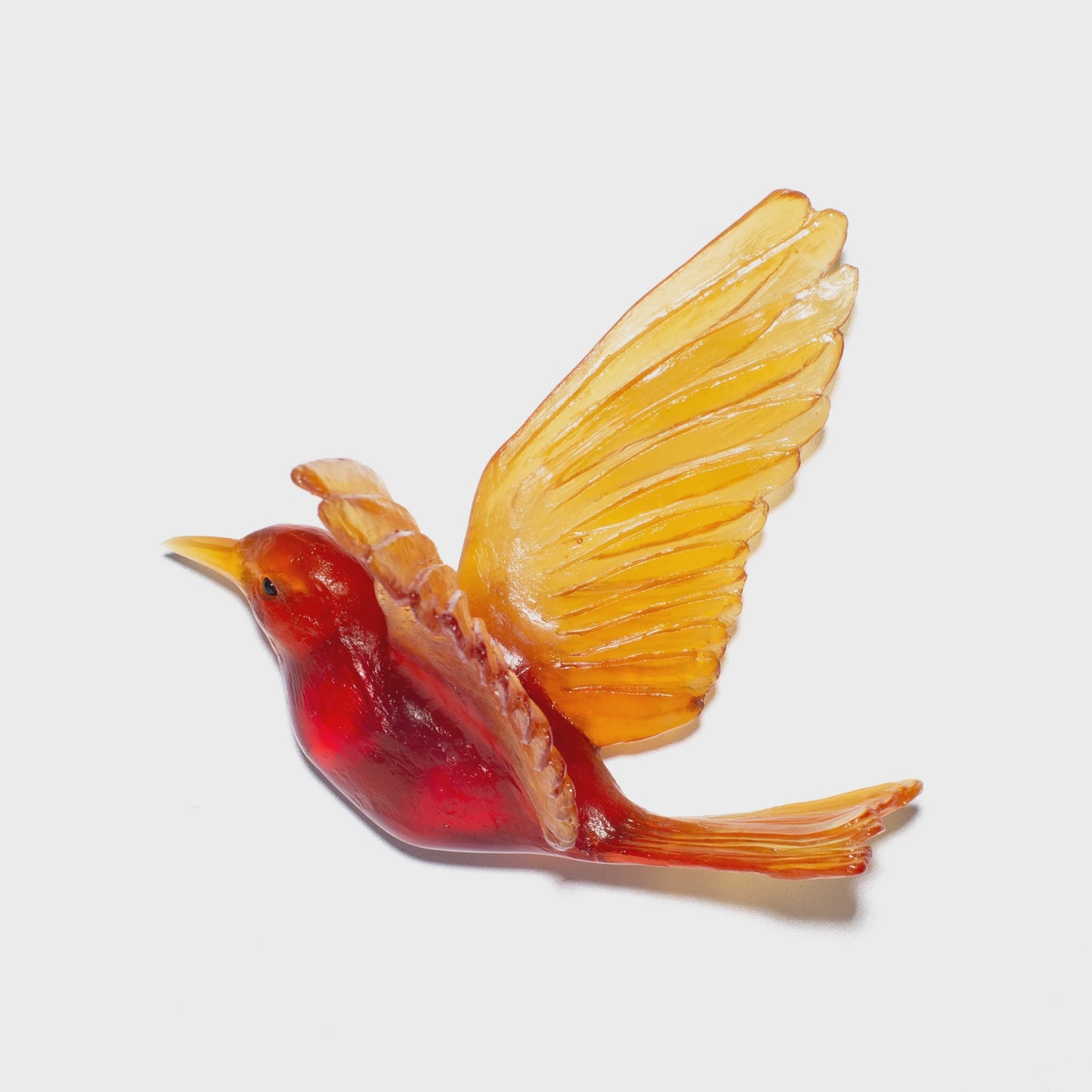 Stitchbird / Hihi - Dark Orange Red