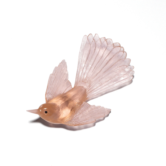 Fantail / Pīwakawaka - Peach