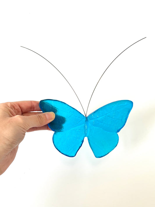 Glass Red Admiral / Kahukura Butterfly -  Copper Blue