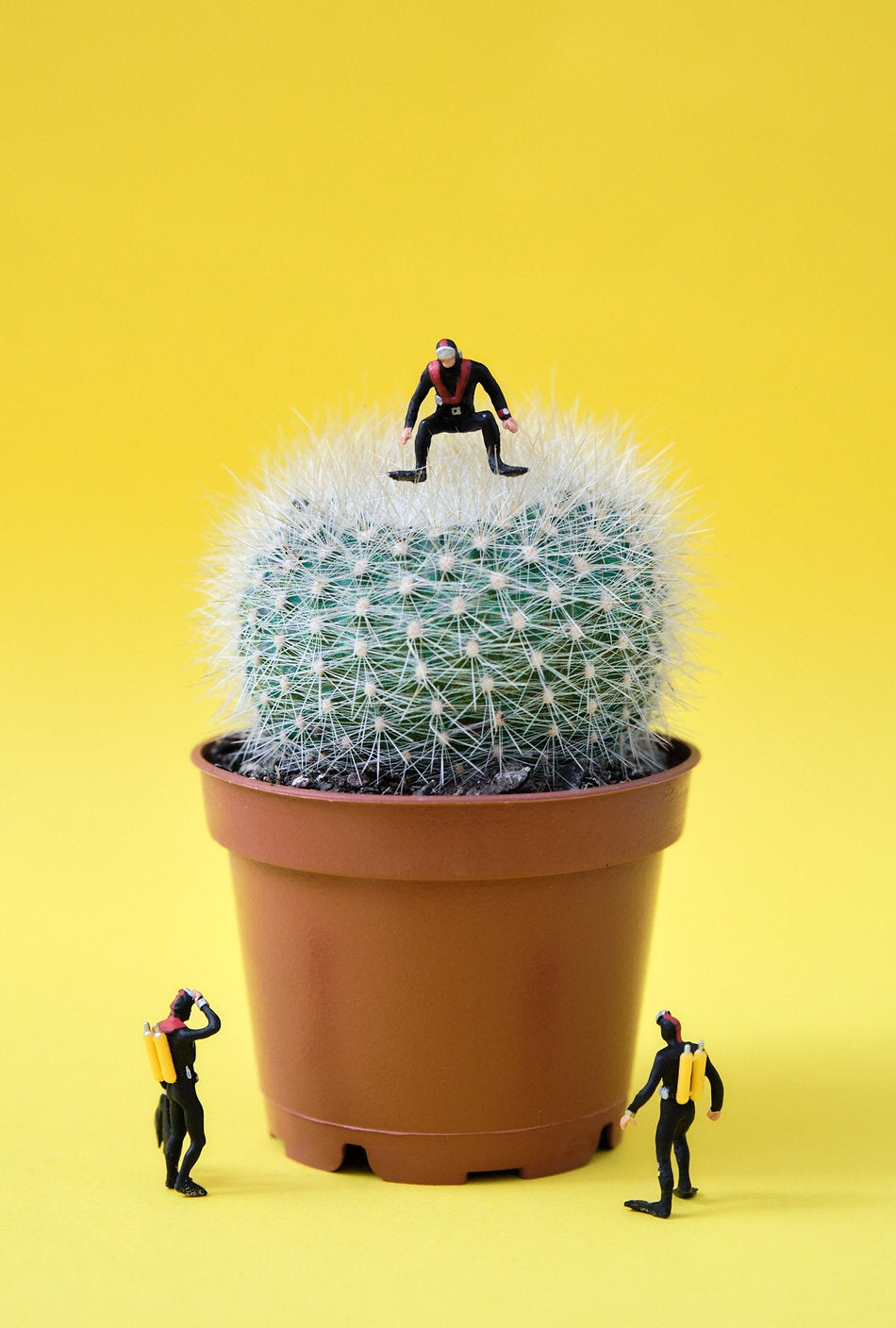 "Prickdicament" Print