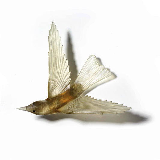 Bellbird / Korimako - Bronze