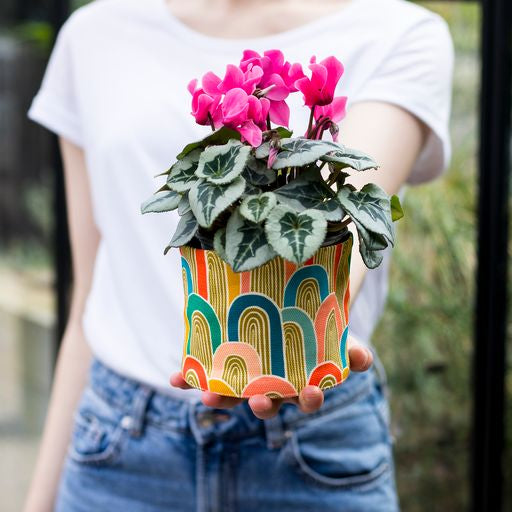 Canvas Planter - Rainbow