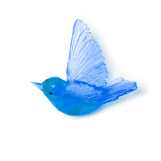 Tomtit / Kōmiromiro - Aquamarine