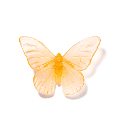 Apricot Large Glass Butterfly Artwork - Classic - by Luke Jacomb