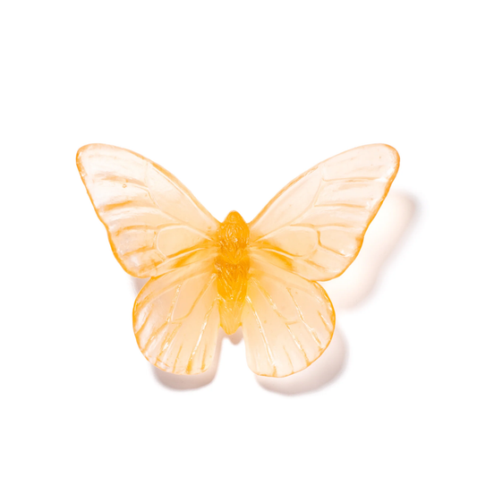 Apricot Large Glass Butterfly Artwork - Classic - by Luke Jacomb