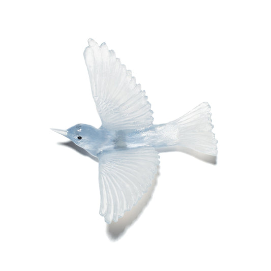 Silvereye / Tauhou - Pale Steel Blue