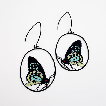 Midi Cairns Birdwing Butterfly Earrings