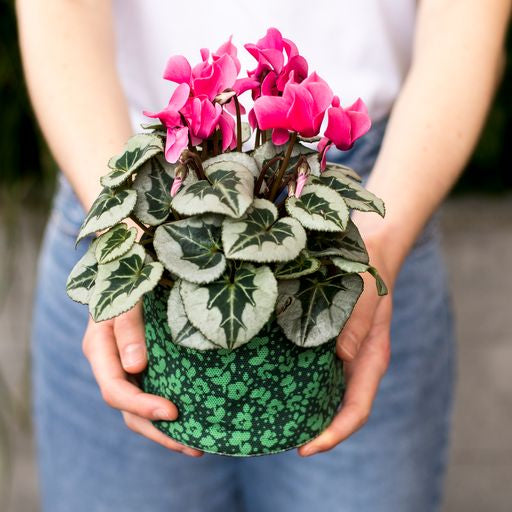 Canvas Planter - Vintage Ditsy