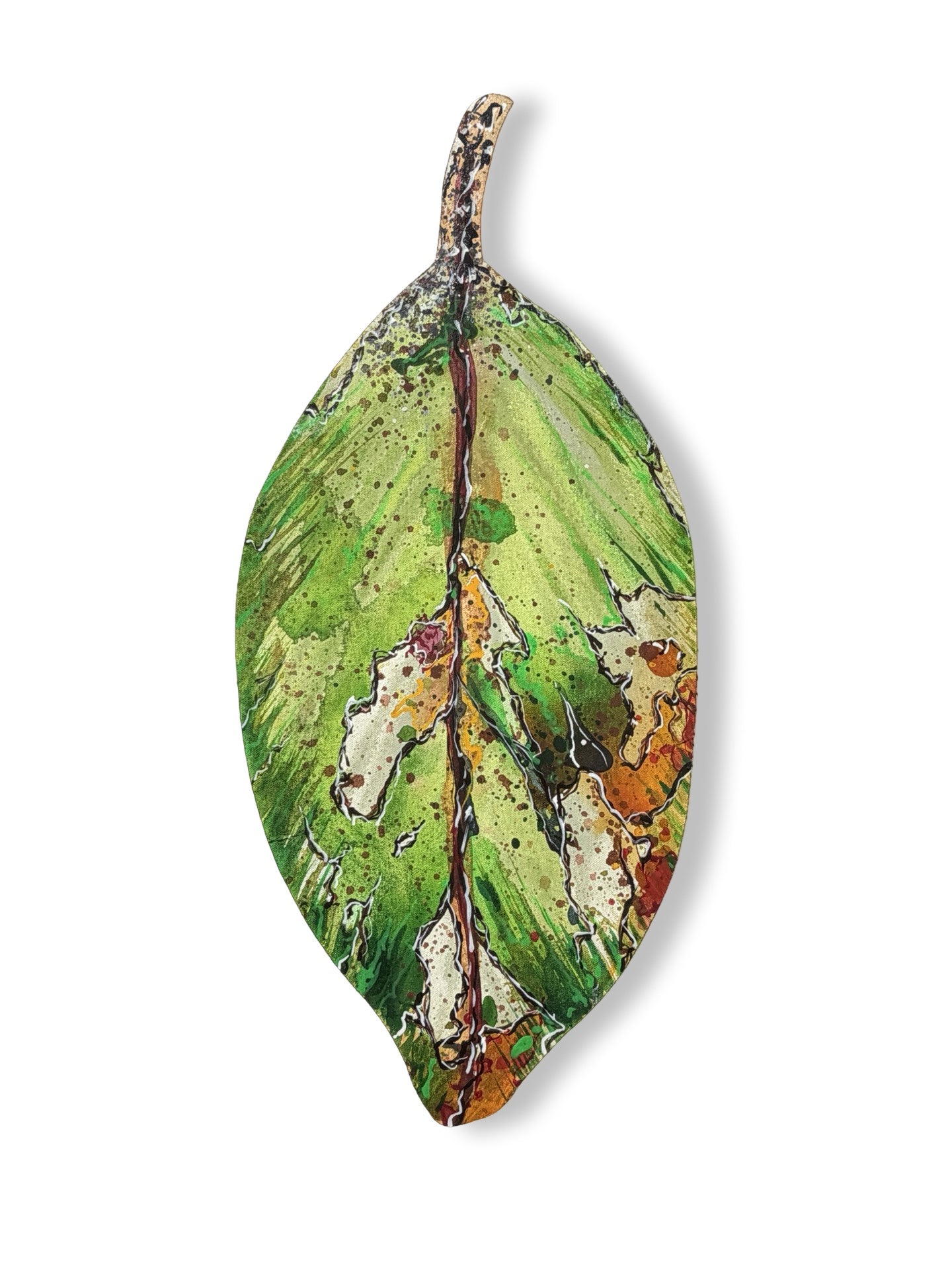 Medium Pohutukawa Leaf (25224)