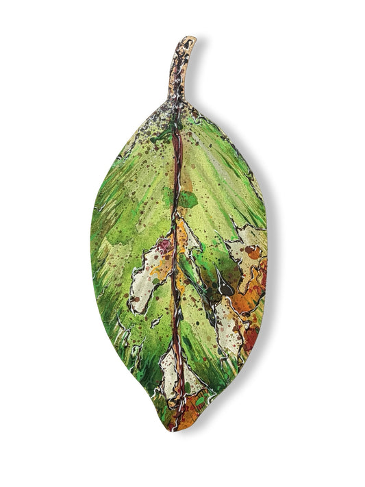 Medium Pohutukawa Leaf (25224)