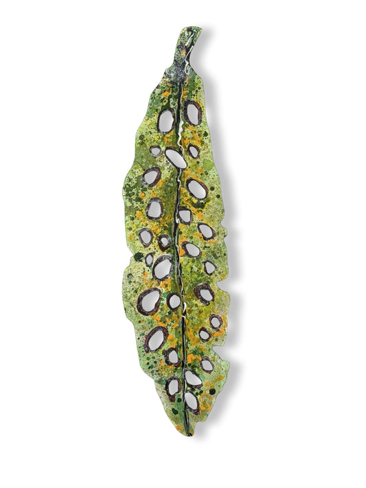 Medium Pohutukawa Leaf (25222)