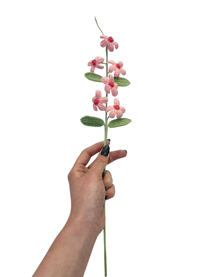 Crocheted Plumbago Flower - Pink