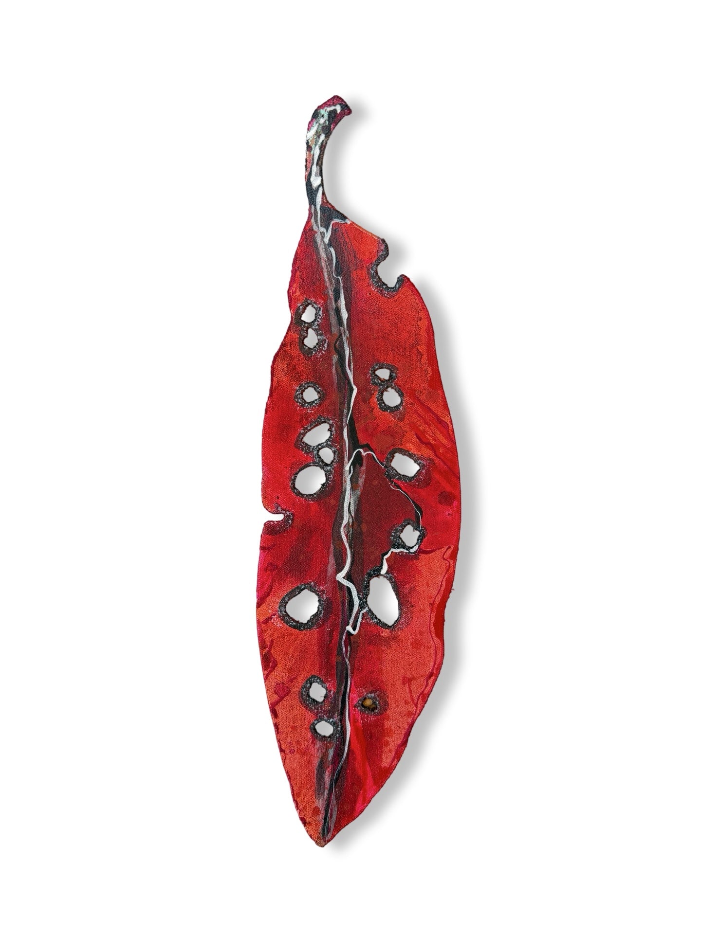 Small Pohutukawa Leaf (25212)