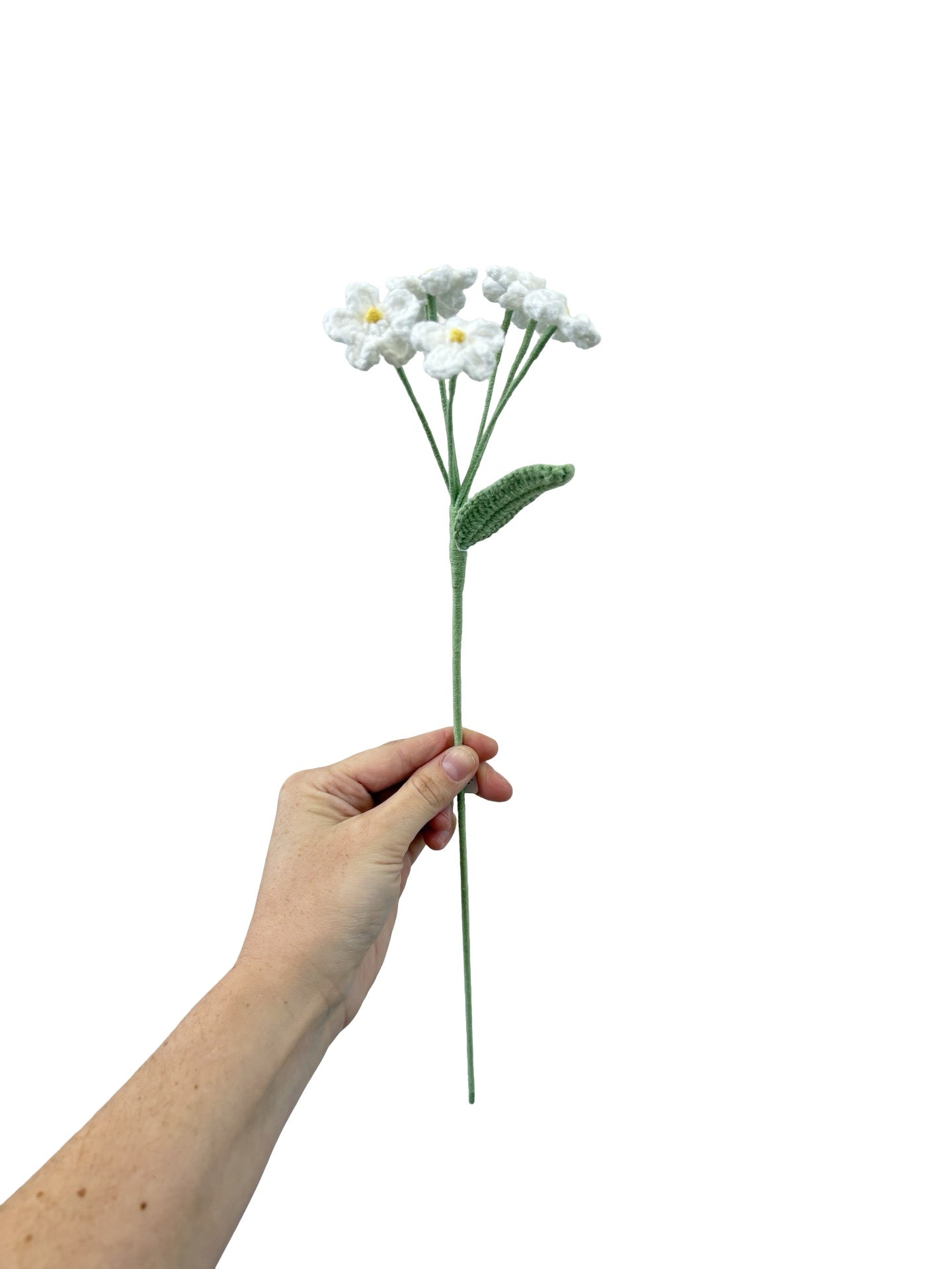 Crocheted Forget Me Not - White