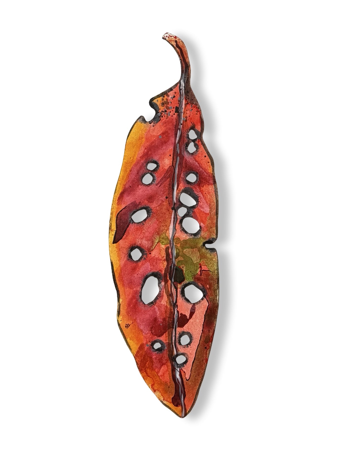 Medium Pohutukawa Leaf (24039)
